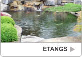 ETANGS ETANGS